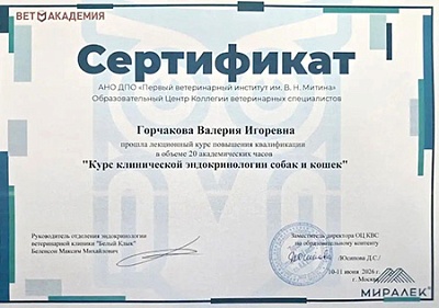 2026 г. Сертификат о прохождении лекционного курса повышения квалификации «Курс клинической эндокринологии собак и кошек», АНО ДПО «Первый ветеринарный институт им В.Н. Митина»