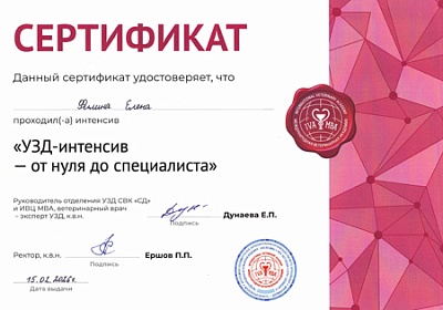 2026 г. Сертификат о прохождении интенсива «УЗД-интенсив - от нуля до специалиста», ИВЦ МВА