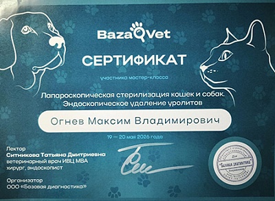 2026 г. Сертификат участника мастер-класса «Лапороскопическая стерилизация кошек и собак. Эндоскопическое удаление уролитов», BazaVet