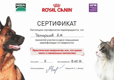 2016 г. Сертификат участника в курсе повышения квалификации по неврологии «Практическая неврология: всё, что нужно знать о спинальных патологиях»