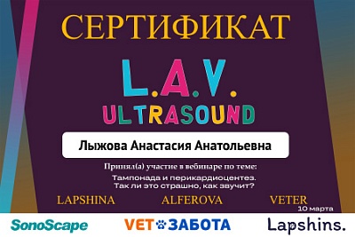 2021 г. Сертификат участника вебинара по теме: «Тампонада и перикардиоцентез. Так ли это страшно, как звучит?», L.A.V. ULTRASOUND