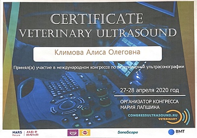 2020 г. Сертификат участника международного конгресса по ветеринарной ультрасонографии, Congress Ultra Sound