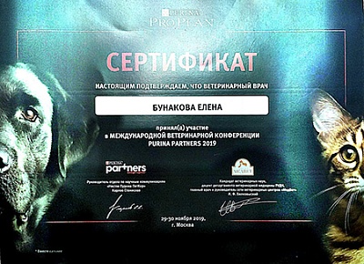 2019 г. Сертификат участника Международной ветеринарной конференции Purina Partners 2019, Purina