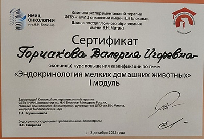 2022 г. Сертификат об окончании курса повышения квалификации по теме: «Эндокринология мелких домашних животных» I модуль, Школа постдипломного образования им. В.Н. Митина