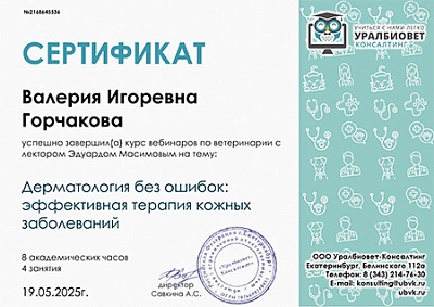 2025 г. Сертификат о завершении курса вебинаров по ветеринарии на тему: «Дерматология без ошибок: эффективная терапия кожных заболеваний», Уралбиовет Консалтинг