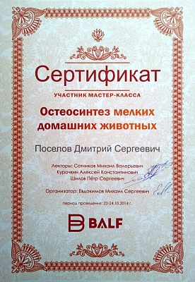 2014 г. Сертификат участника мастер-класса «Остеосинтез мелких домашних животных», Бальф