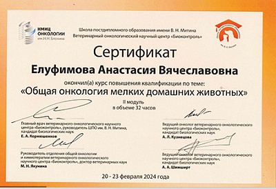 2024 г. Сертификат об окончании курса повышения квалификации по теме «Общая онкология мелких домашних животных», Школа постдипломного образования им. В.Н. Митина