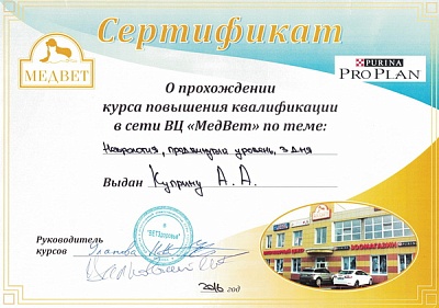 2016 г. Прошёл курс повышения квалификации по программе «Неврология, продвинутый уровень» «МЕДВЕТ»