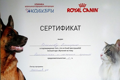 2017 г. Сертификат о прохождении курса обучения «Диагностика и лечение хромот, Колибри