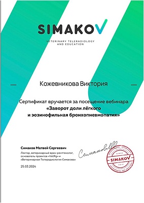 2024 г. Сертификат посетителя вебинара «Заворот доли лёгкого и эозонофильная бронхопневмопатия», Simakov