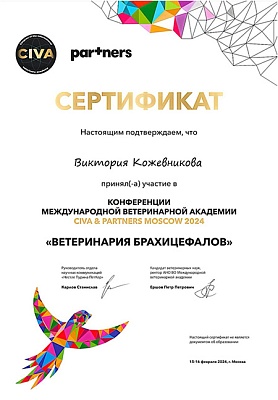 2024 г. Сертификат участника конференции международной ветеринарной академии CIVA & PARTNERS MOSCOW 2024 «Ветеринария брахицефалов», CIVA