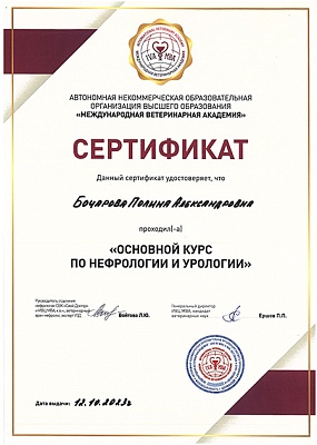 2023 г. Сертификат о прохождении «Основного курса по нефрологии и урологии», АНО ОВО «Международная ветеринарная академия»