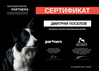 2024 г. Сертификат участника научного форума PARTNERS, Partners