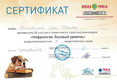 2019 г. Сертификат участника теоретическо-практического модуля «Нефрология. Базовый уровень», «ИВЦ Академии им. К.И.Скрябина»