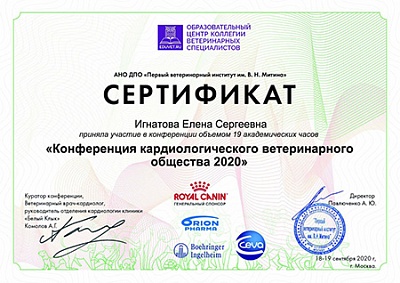 2020 г. Сертификат участника в конференции «Конференция кардиологического ветеринарного общества 2020», АНО ДПО «Первый ветеринарный институт им. В.Н.Митина»