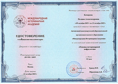 2023 г. Удостоверение о повышении квалификации по дополнительной профессиональной программе «Основы ветеринарной нефрологии», АНО ОВО «Международная ветеринарная академия»