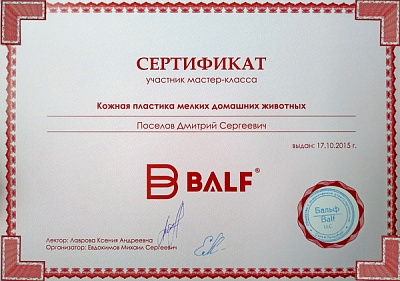 2015 г. Сертификат участника мастер-класса «Кожная пластика мелких домашних животных», Бальф