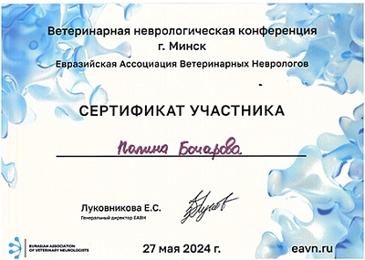 2024 г. Сертификат участника в Ветеринарной неврологической конференции г. Минск, Евразийская Ассоциация Ветеринарных Неврологов