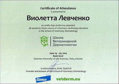 2019 г. Сертификат о прохождении курса повышения квалификации в школе ветеринарной дерматологии базовый уровень, Школа ветеринарной дерматологии