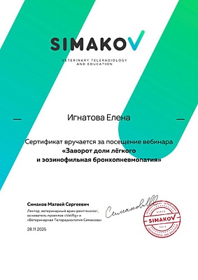 2025 г. Сертификат посетителя вебинара «Заворот доли лёгкого и эозинофильная бронхопневмопатия», SIMAKOV