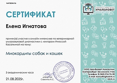 2025 г. Сертификат участника онлайн-интенсива по ветеринарной ультразвуковой диагностике на тему «Миокардиты собак и кошек», УралБиоВет Консалтинг