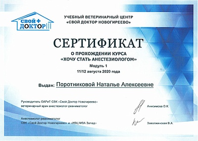 2020 г. Сертификат о прохождении курса «Хочу стать анестезиологом» Модуль 1, СвойДоктор