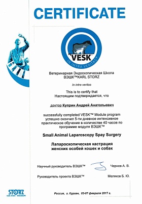 2017 г. Сертификат о прохождении обучения по программе «Лапароскопическая кастрация женских особей кошек и собак» «VESK»
