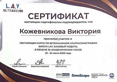 2023 г. Сертификат о прохождении обучающего курса по ветеринарной ультрасонографии «Школа LAV. Базовый модуль.», L.A.V. Ultrasound