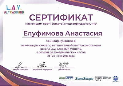 2023 г. Сертификат участника «Обучающего курса по ветеринарной ультрасонографии. Школа LAV. Базовый модуль.», L.A.V. Ultrasound
